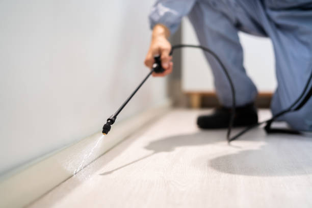 Licensed Pest Control service in Minonk, IL - Show Me Pest Control
