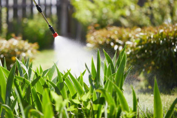 24/7 Emergency Mosquito Control experts in Minonk, IL